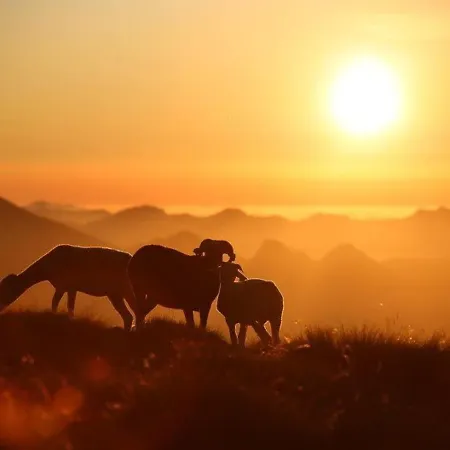 Duplex 6 Pers Avec Parking A 600m Des Remontees, Proche Commerces Et Navette Gratuite - Fr-1-401-42